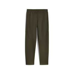Jogginghose "Evostripe"