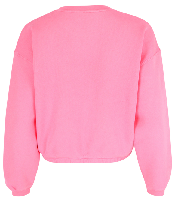Sweatshirt "Izubird"