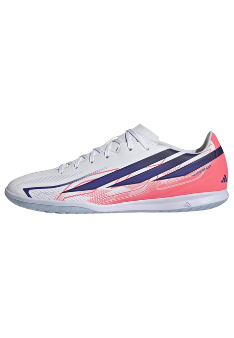 Hallenschuh