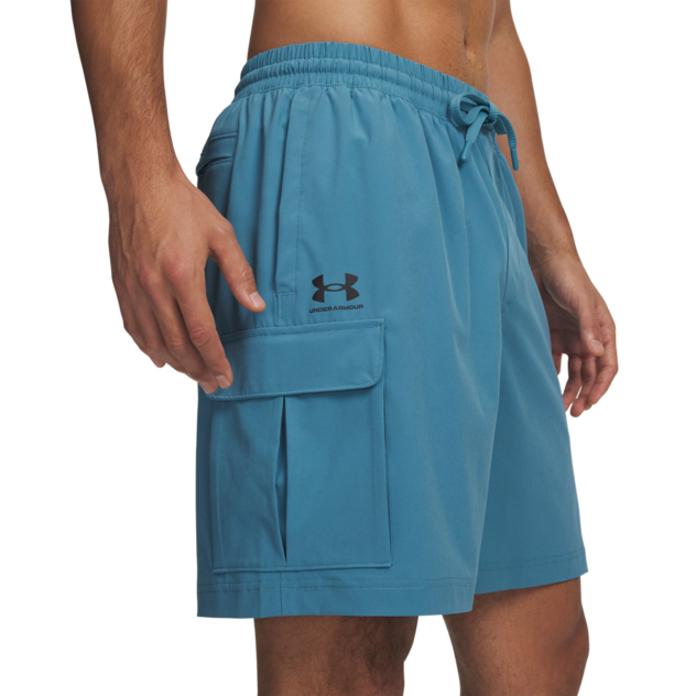 Cargoshorts "UA Vibe"