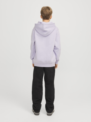 Kapuzenpullover "JORVESTERBRO "