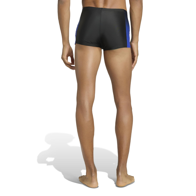 Schwimmboxer "Gradient"