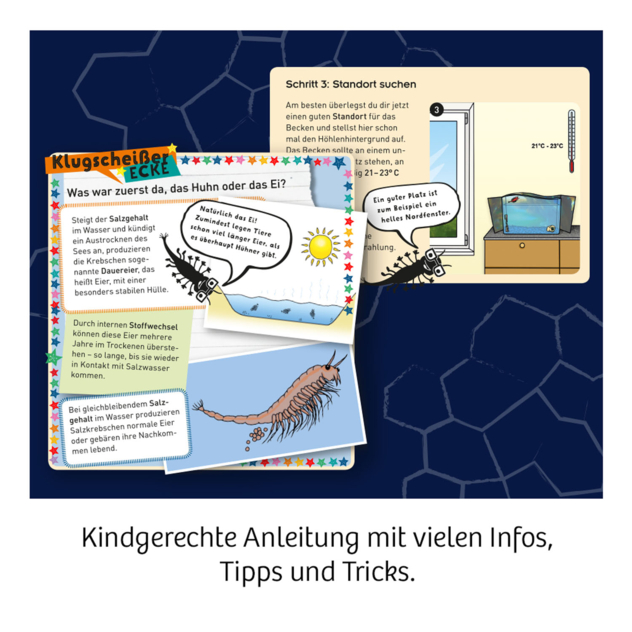 Experimentier-Set "Wuselnde Salzkrebse"