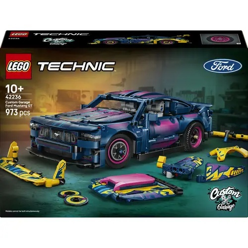 42236 TECHNIC 42236 V29