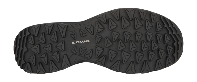 Multifunktionsschuh "Toro Pro GTX Lo W"