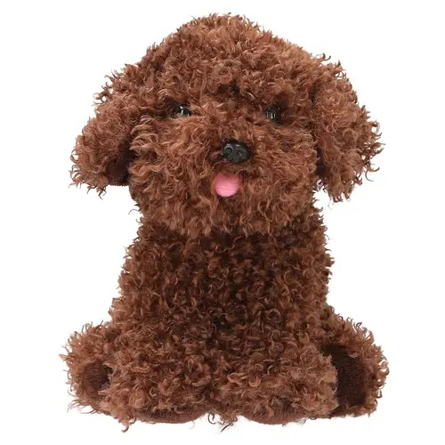 Hund "Cody"