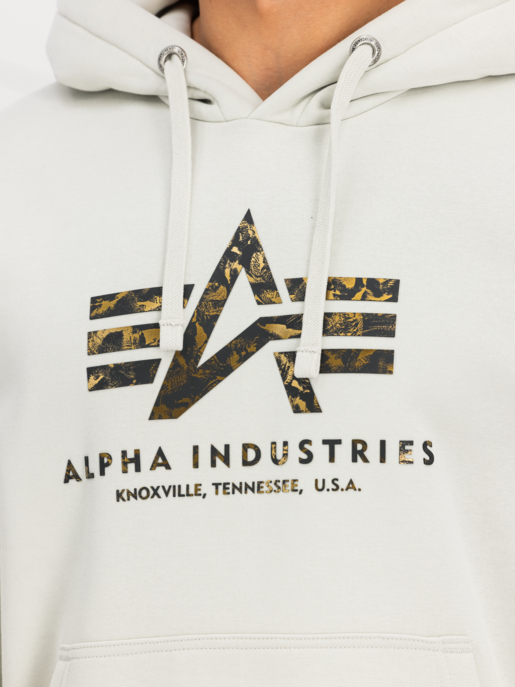 Hoodie "Basic Big Logo Effect"