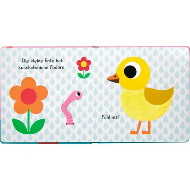 Mein Fühlbuch: Kleine Ente (Fühlen&begre