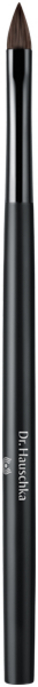 Lippenpinsel