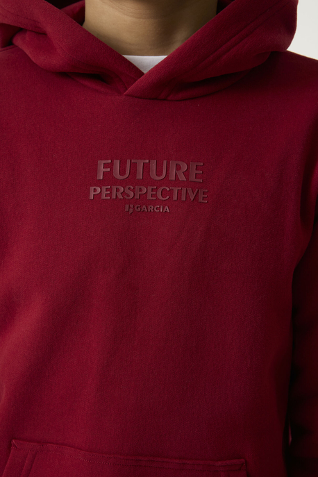 Hoodie "Z3051"