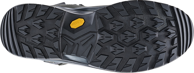 Multifunktionsstiefel "Renegade Evo GTX Mid W"