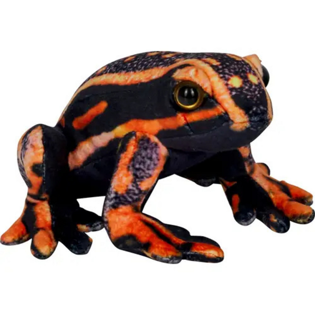 Pfeilgiftfrosch - Nature Zoom Wild