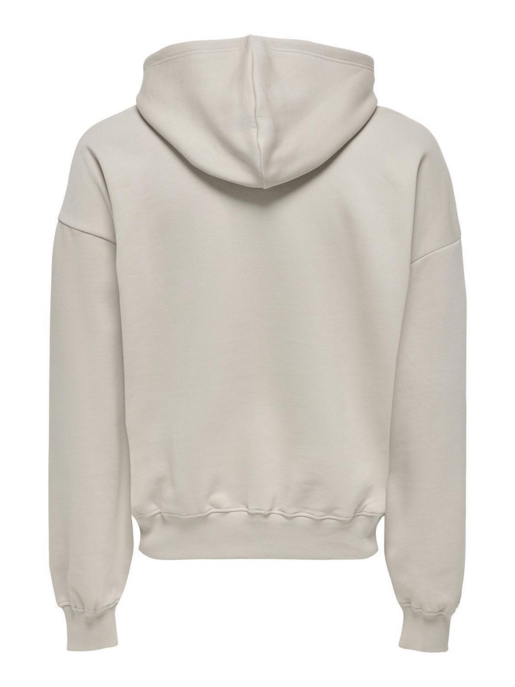 Hoodie ONLY & SONS