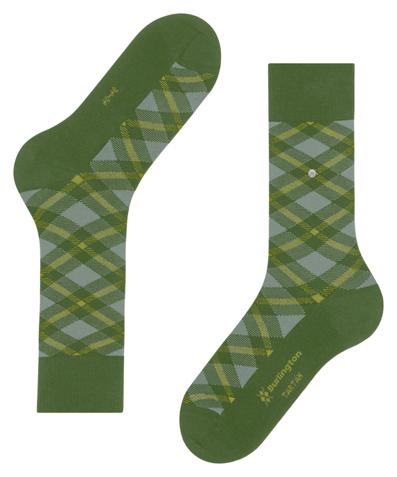 Tartan SO