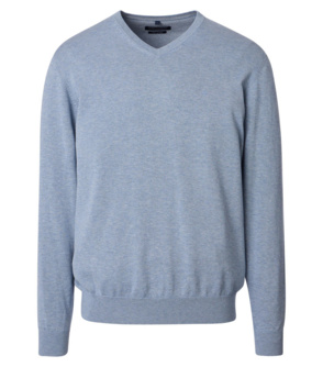 Pullover mit V-Ausschnitt 