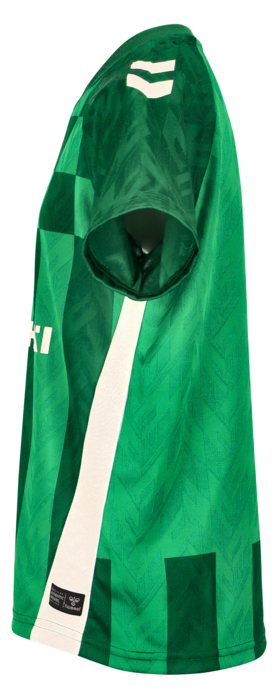 Werder Bremen Kinder-Heimtrikot 24/25