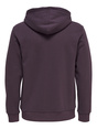 Kapuzenpullover "ONS Ceres"
