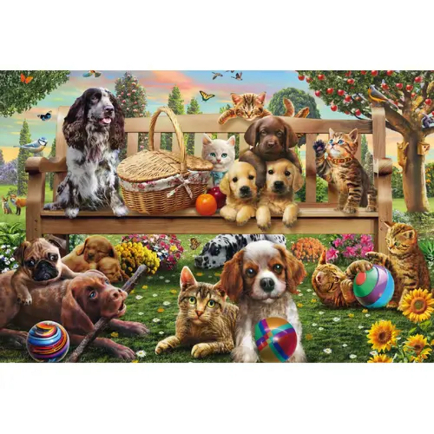 Gartenpicknick für Hund und Katze