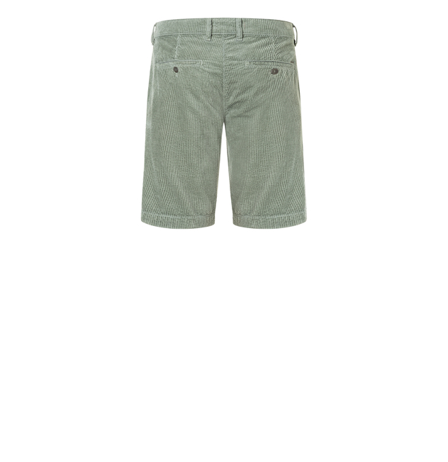 Bermuda "Liam"