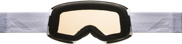 Skibrille "Fernie Q-Lite"