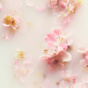 The Ritual of Sakura Hand Wash 300ml
