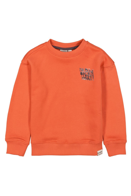 Sweatshirt "J55465"