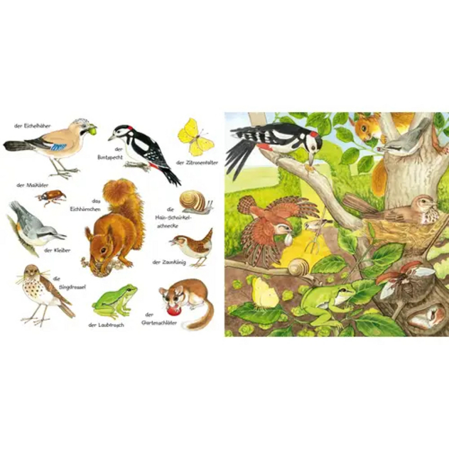 BiWö Tiere im Park + Garten