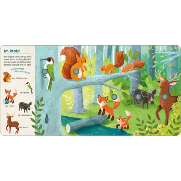 Soundbuch "Such mal, hör mal! - Im Wald"