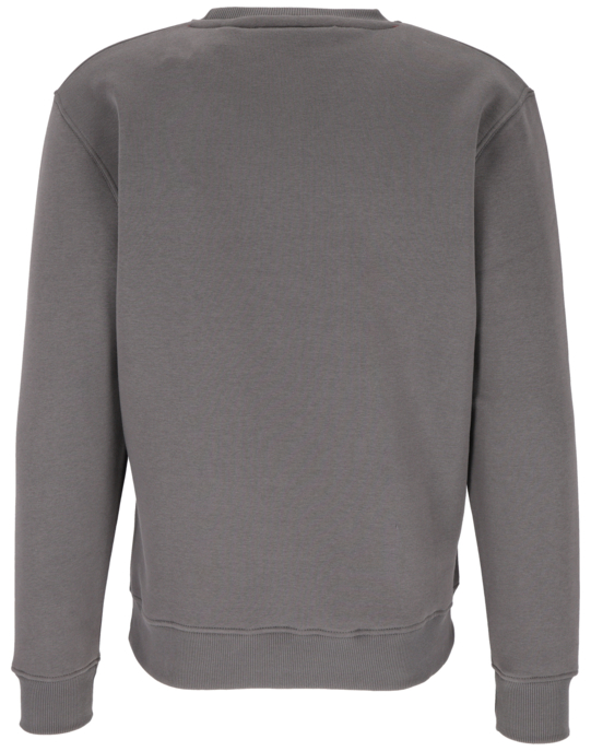 Sweatshirt "Big Logo"