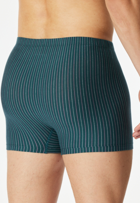 3PACK Shorts