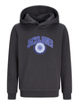 Kapuzenpullover "Jjcollegey"