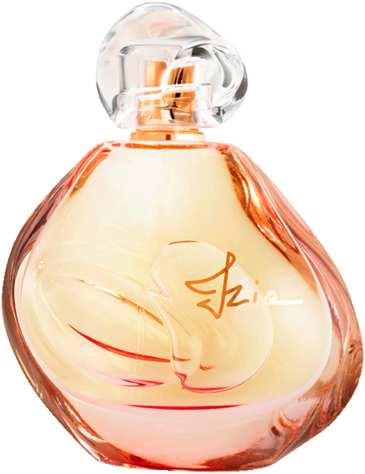 EdP 100 ml