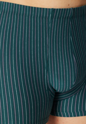 3PACK Shorts