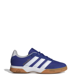 Indoor Schuh "Spezialist"