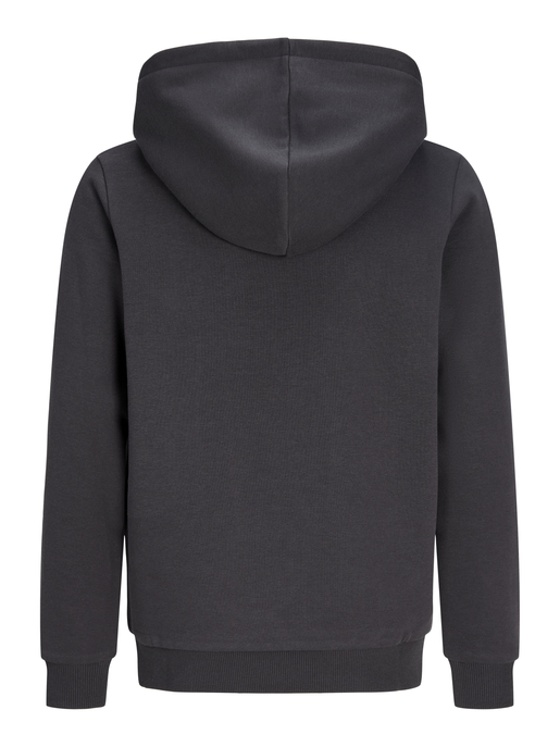 Kapuzenpullover "Jjcollegey"