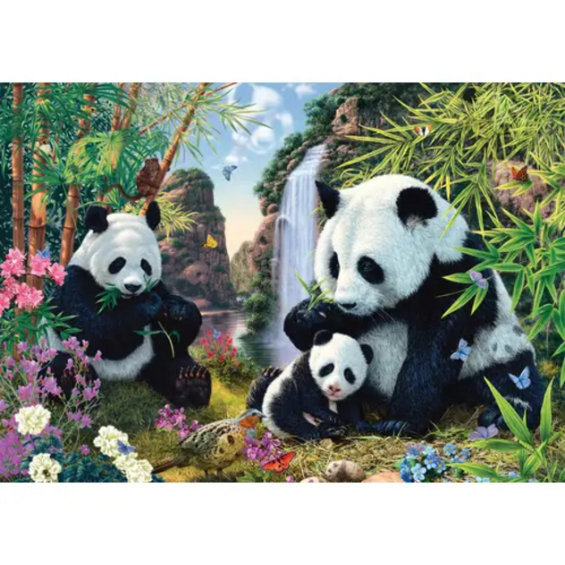 Pandafamilie am Wasserfall