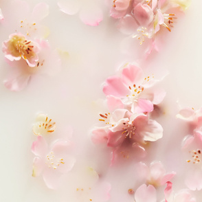 The Ritual of Sakura Body Lotion Mousse
