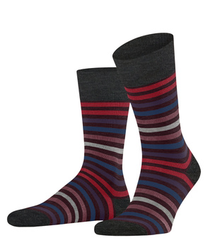 Socken "Tinted Stripe"