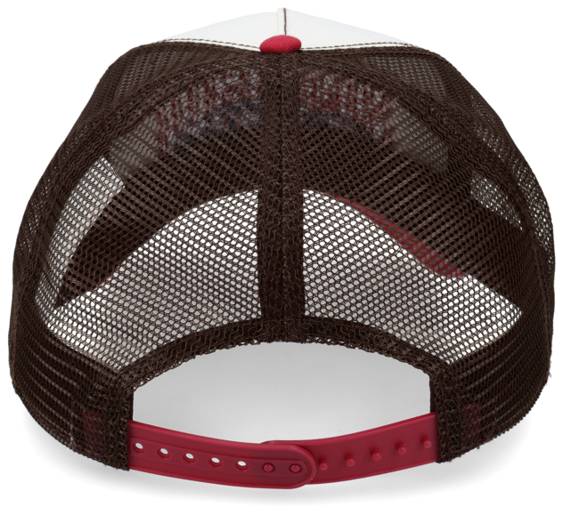 Stetson Cap